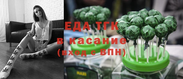 шишки Арсеньев