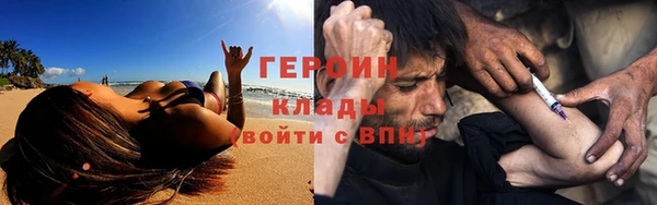 шишки Арсеньев