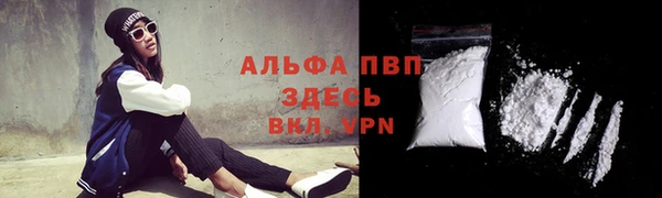 шишки Арсеньев
