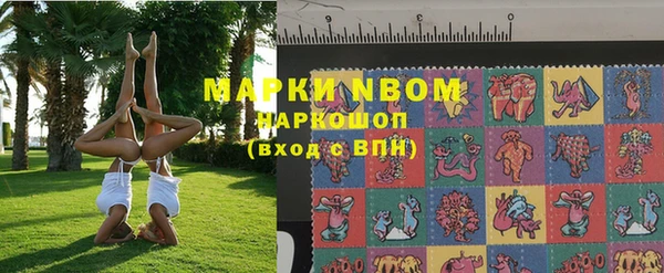 шишки Арсеньев