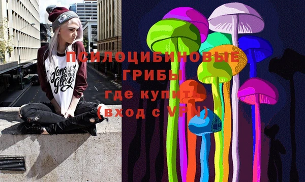 шишки Арсеньев
