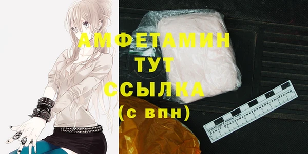 шишки Арсеньев