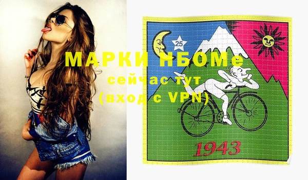 шишки Арсеньев