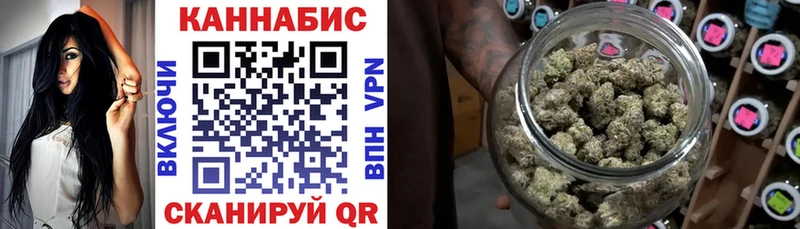 Конопля сатива Белоярский